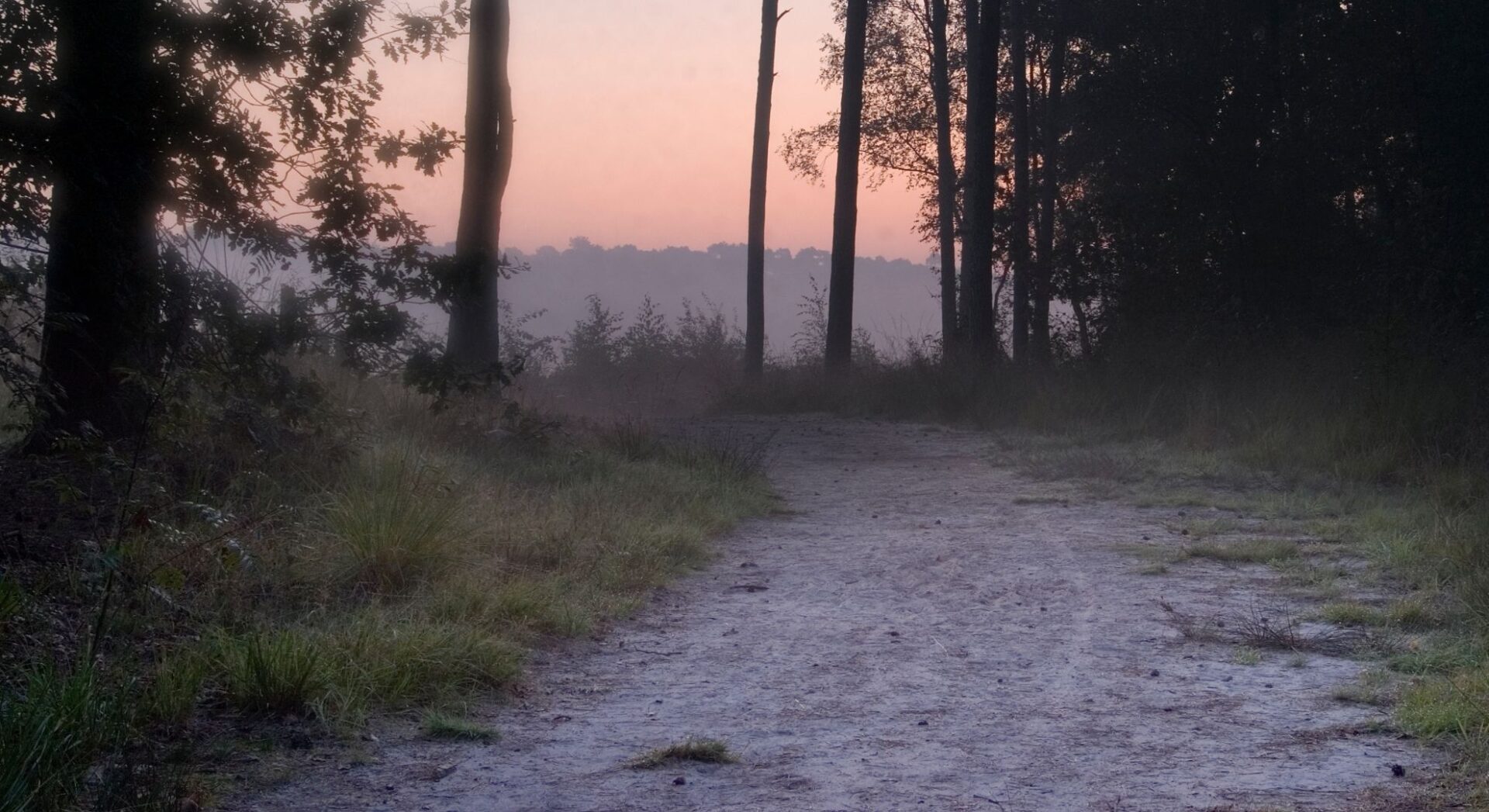 Zand bospad in de schemering die uitmondt in de hei
